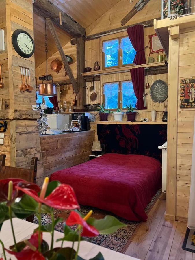 Ferme Savoyarde Renovee 2 Chambres Les Carroz d'Araches Luaran gambar